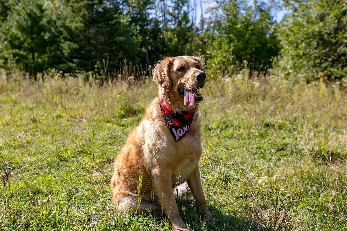 West Bay Hills - Grundstücke in Kanada, Cape Breton Island
