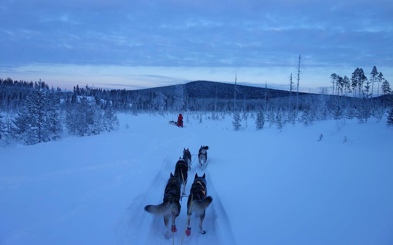 Im Winter in Kanada mit dem Hundeschlitten