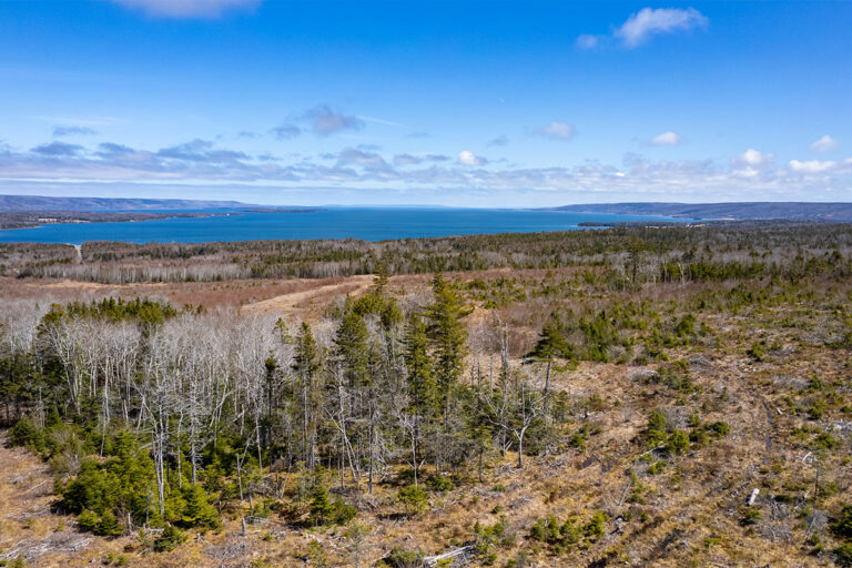 West Bay Hills - Bay View