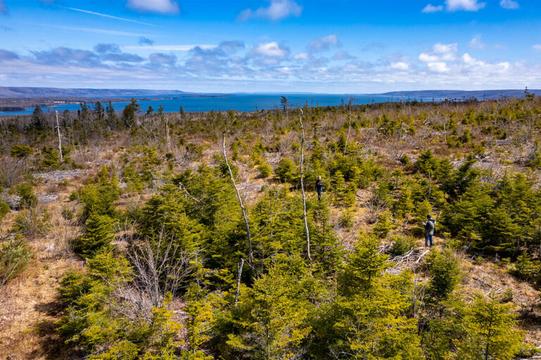 West Bay Hills "Bay View" Landkauf in Nova Scotia