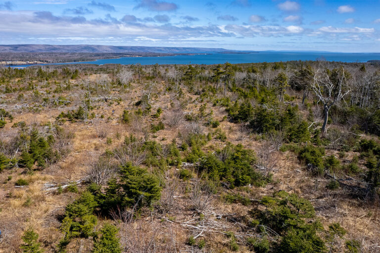 West Bay Hills "Little Creek" Immobilien in Cape Breton