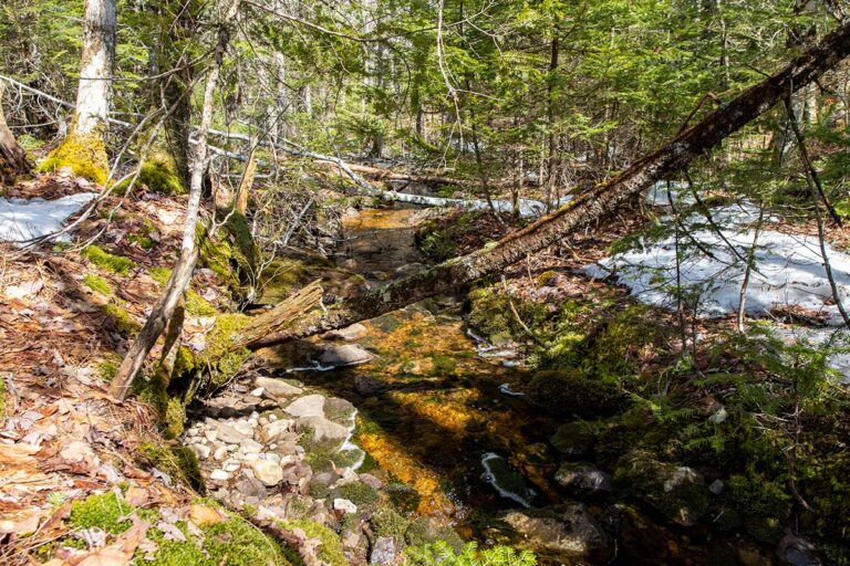 West Bay Hills "Little Creek" Immobilien in Cape Breton