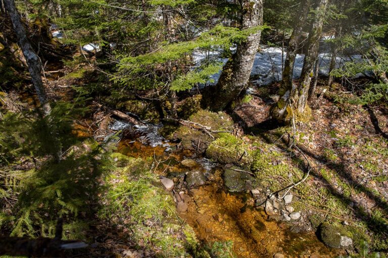 West Bay Hills "Little Creek" Immobilien in Cape Breton