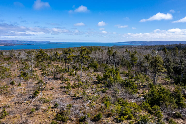 West Bay Hills "Little Creek" Immobilien in Cape Breton
