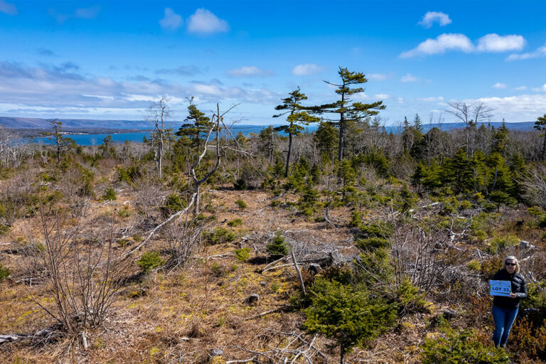 West Bay Hills "Little Creek" Immobilien in Cape Breton