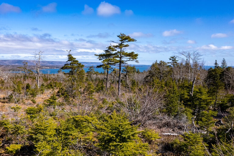 West Bay Hills "Little Creek" Immobilien in Cape Breton
