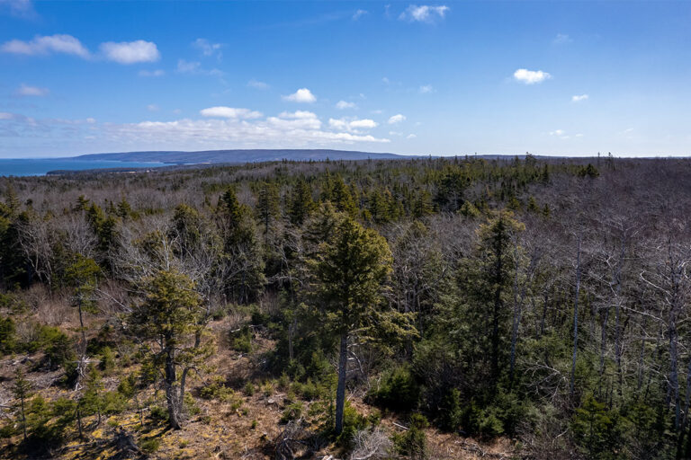 West Bay Hills "Little Creek" Immobilien in Cape Breton