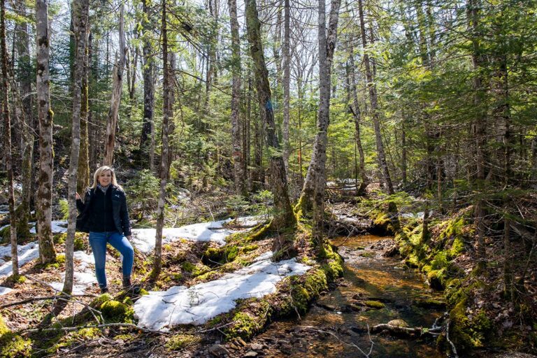West Bay Hills "Little Creek" Immobilien in Cape Breton