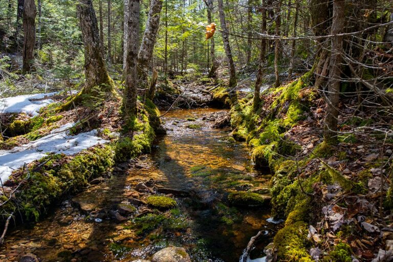 West Bay Hills "Little Creek" Immobilien in Cape Breton