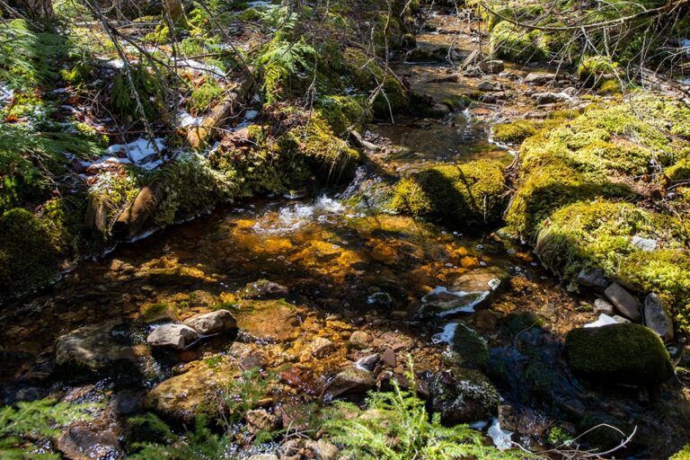 West Bay Hills Little Creek