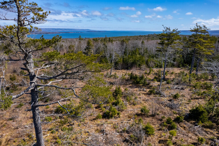 West Bay Hills "Little Creek" Immobilien in Cape Breton