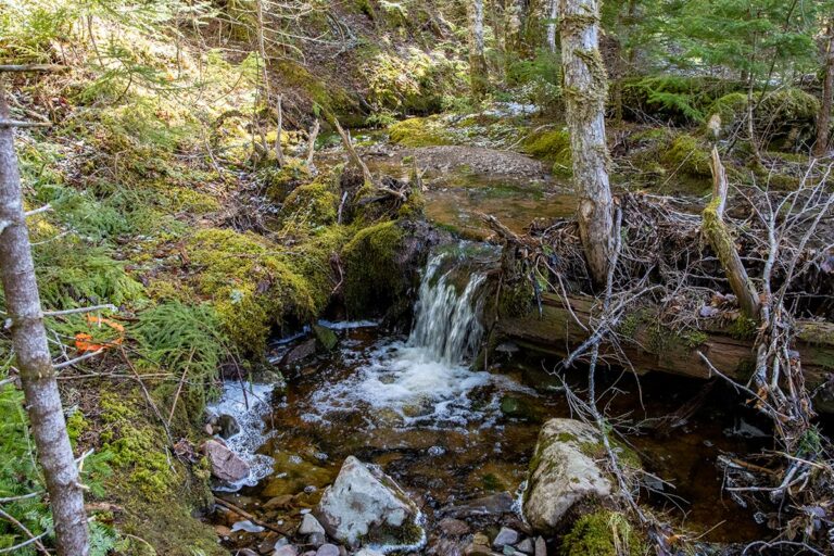 West Bay Hills "Little Creek" Immobilien in Cape Breton