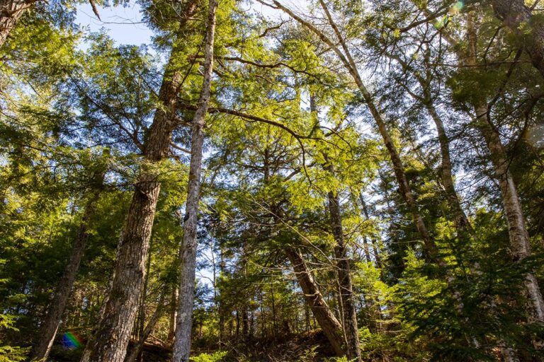 West Bay Hills "Little Creek" Immobilien in Cape Breton