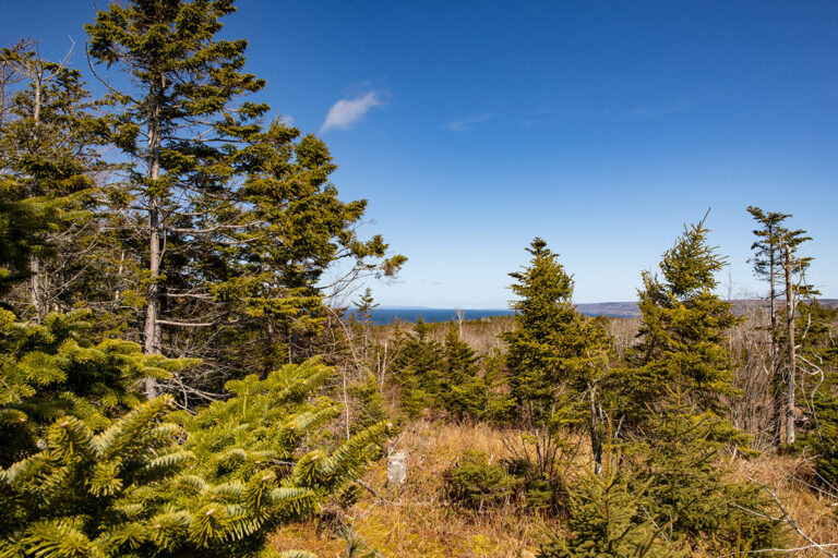 West Bay Hills - Grundstücke in Kanada, Cape Breton Island