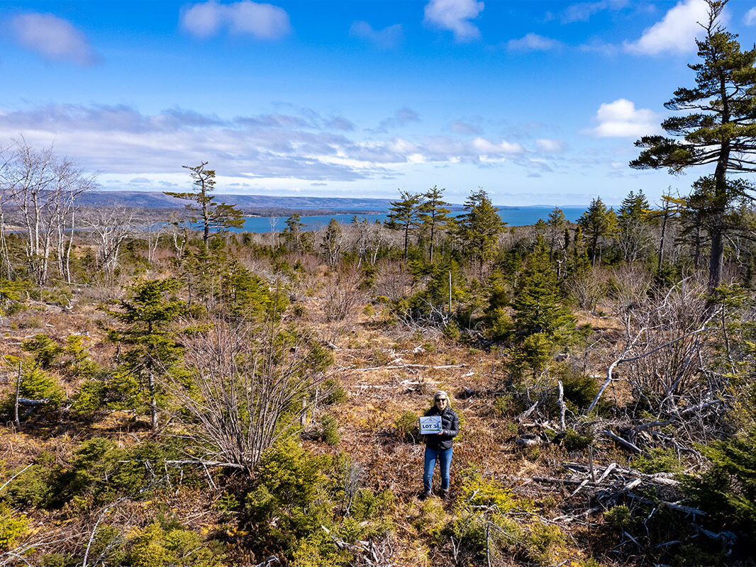 Grundstück mit Traumblick und idyllischem Bach in Cape Breton Island