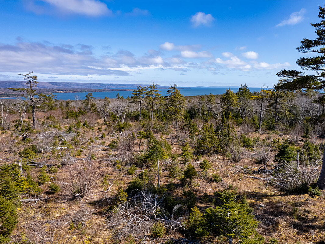 Grundstück mit Traumblick und idyllischem Bach in Cape Breton Island