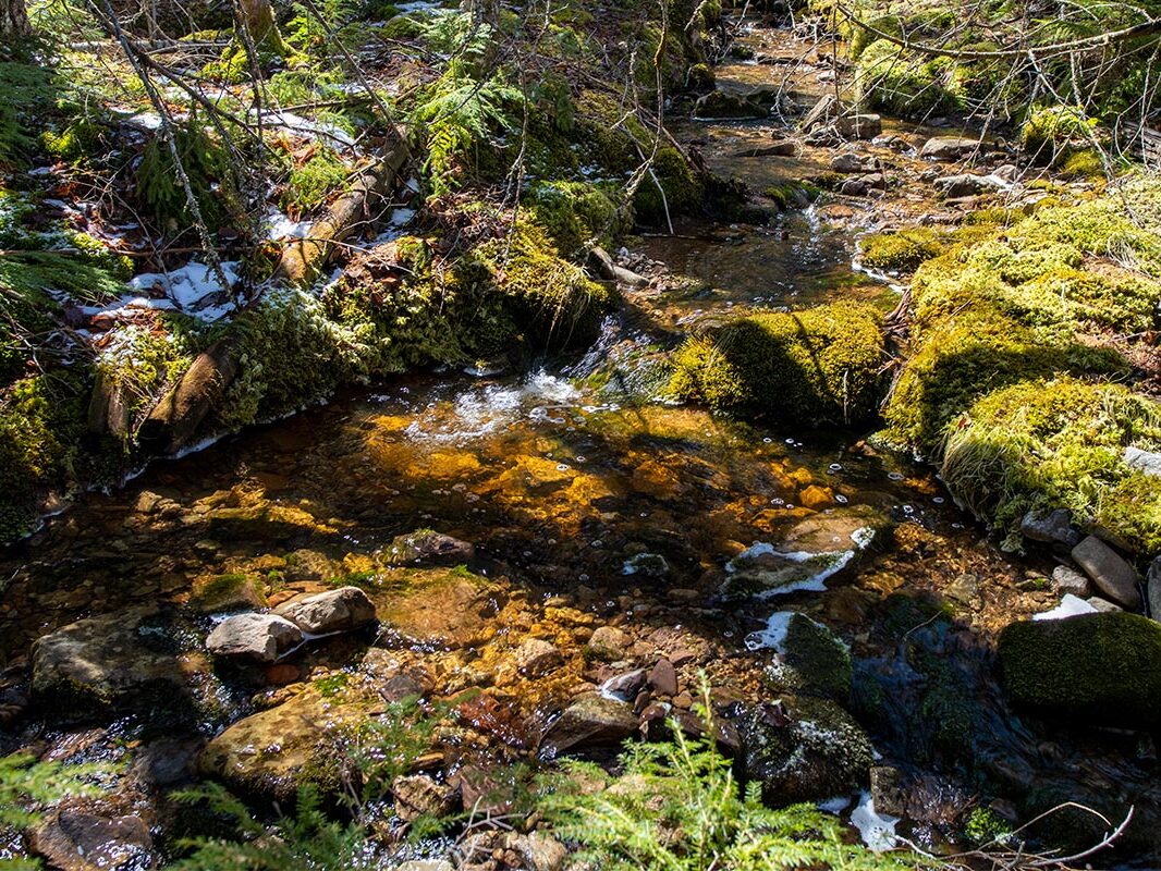 Grundstück mit Traumblick und idyllischem Bach in Cape Breton Island