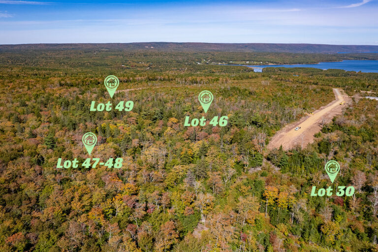 West Bay Hills Deer Tracks