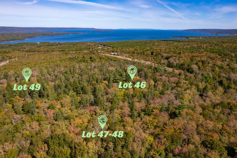 West Bay Hills Deer Tracks