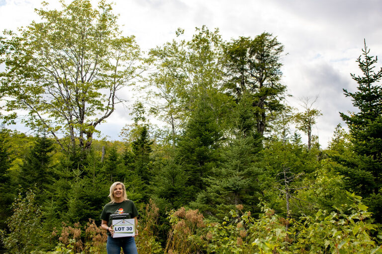 West Bay Hills Deer Tracks