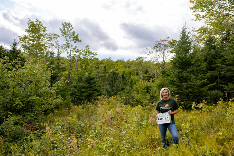 West Bay Hills Deer Tracks