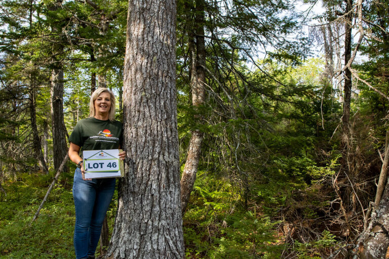 West Bay Hills Deer Tracks