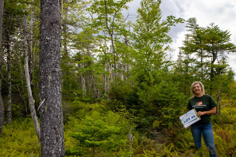 West Bay Hills Deer Tracks