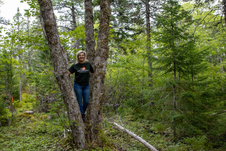 West Bay Hills Deer Tracks