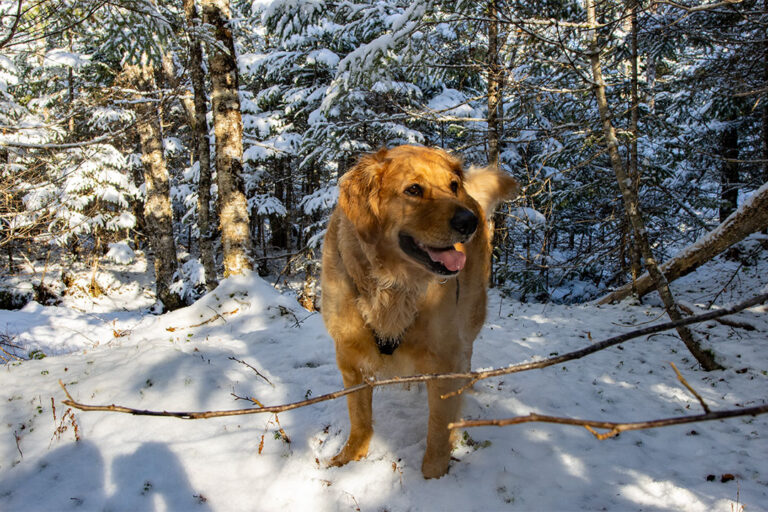 86.000m2 Abenteuer-Grundstück für alle Natur-Liebhaber
