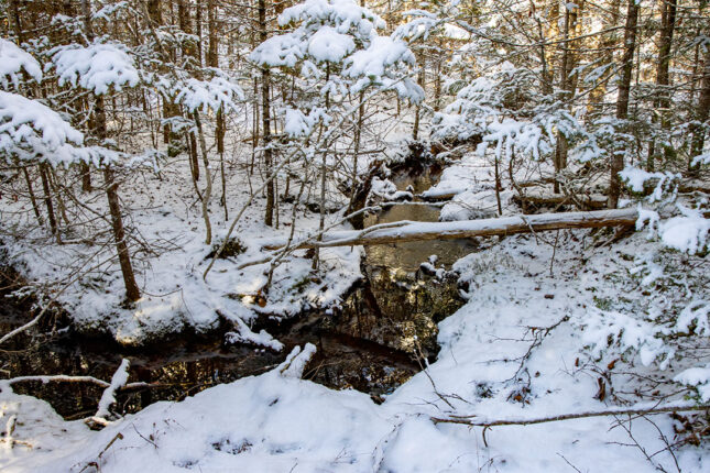 86.000qm Abenteuer-Grundstück für alle Natur-Liebhaber