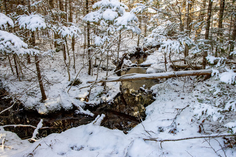 86.000qm Abenteuer-Grundstück für alle Natur-Liebhaber