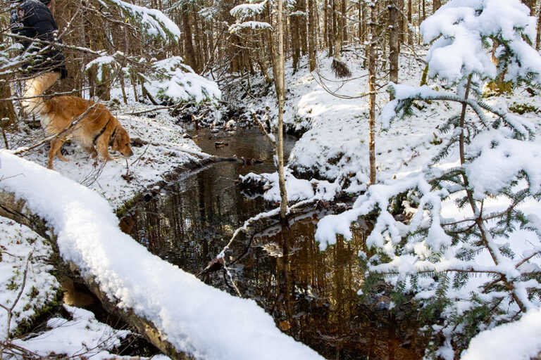 86.000m2 Abenteuer-Grundstück für alle Natur-Liebhaber