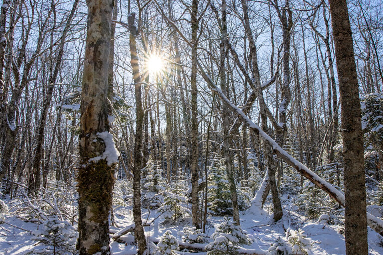 86.000m2 Abenteuer-Grundstück für alle Natur-Liebhaber
