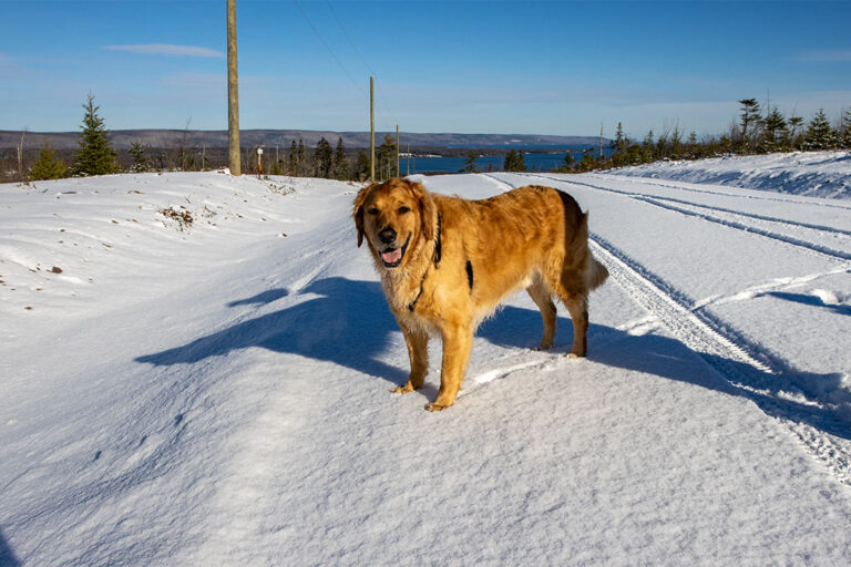 86.000m2 Abenteuer-Grundstück für alle Natur-Liebhaber