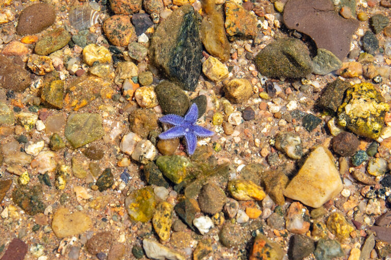 Malagawatch Harbour- Wassergrundstück mit ca. 96m Ufer