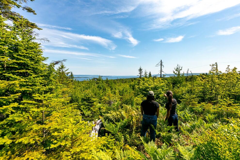Traumhaftes Grundstück mit Wasserblick in Kanada – 9.860 m² Natur pur
