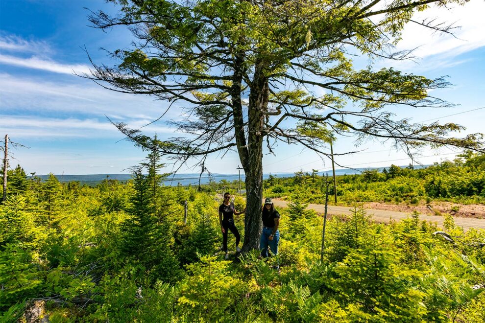 Traumhaftes Grundstück mit Wasserblick in Kanada – 9.860 m² Natur pur