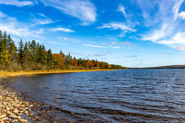 Grundstück in Kanada kaufen auf Cape Breton Island.