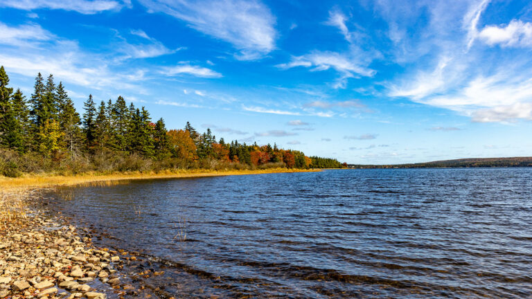 Grundstück in Kanada kaufen auf Cape Breton Island.