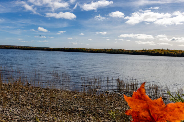 Grundstück in Kanada kaufen auf Cape Breton Island.