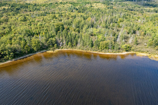 Grundstück in Kanada kaufen am See