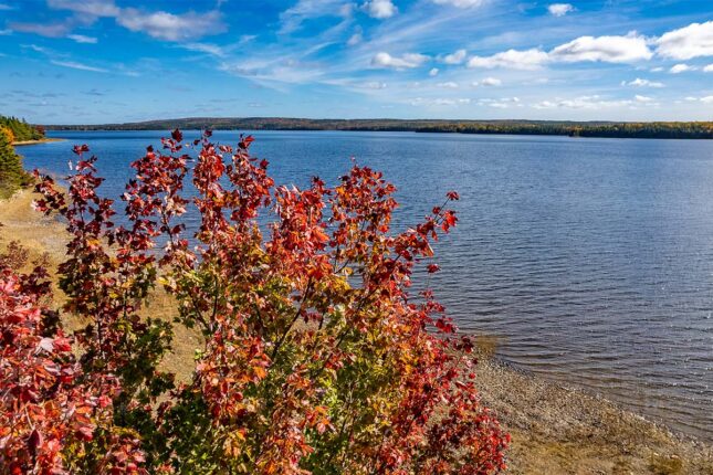 Grundstück in Kanada kaufen am See